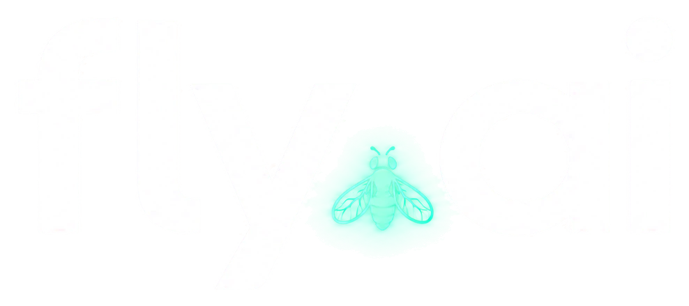 fly.ai logo, transparent